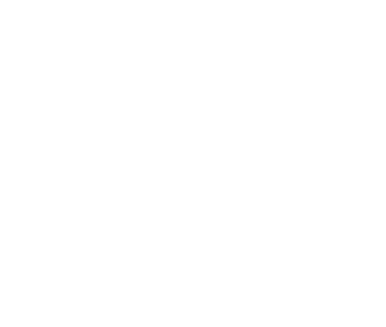 Civic Voice Partners Logo